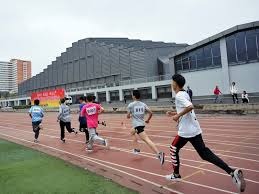 为什么数学从不心软？（数学为何从不留情？）